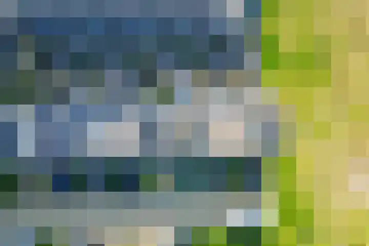 Flamingokade 64 Groningen thumbnail 63