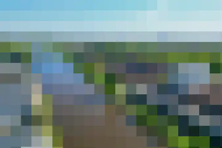 Flamingokade 64 Groningen thumbnail 64