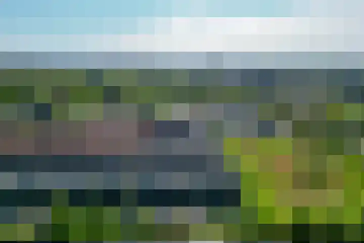 Flamingokade 64 Groningen thumbnail 65