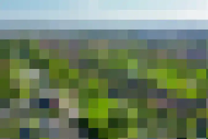 Flamingokade 64 Groningen thumbnail 67