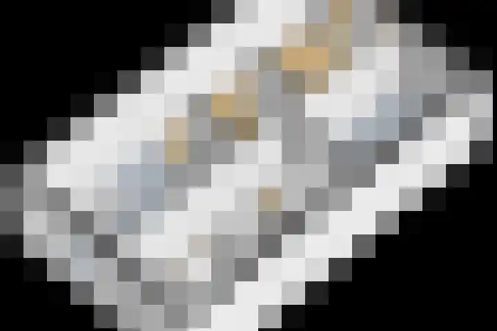 Flamingokade 64 Groningen thumbnail 69