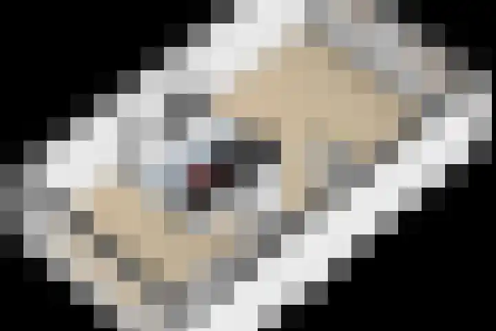 Flamingokade 64 Groningen thumbnail 71