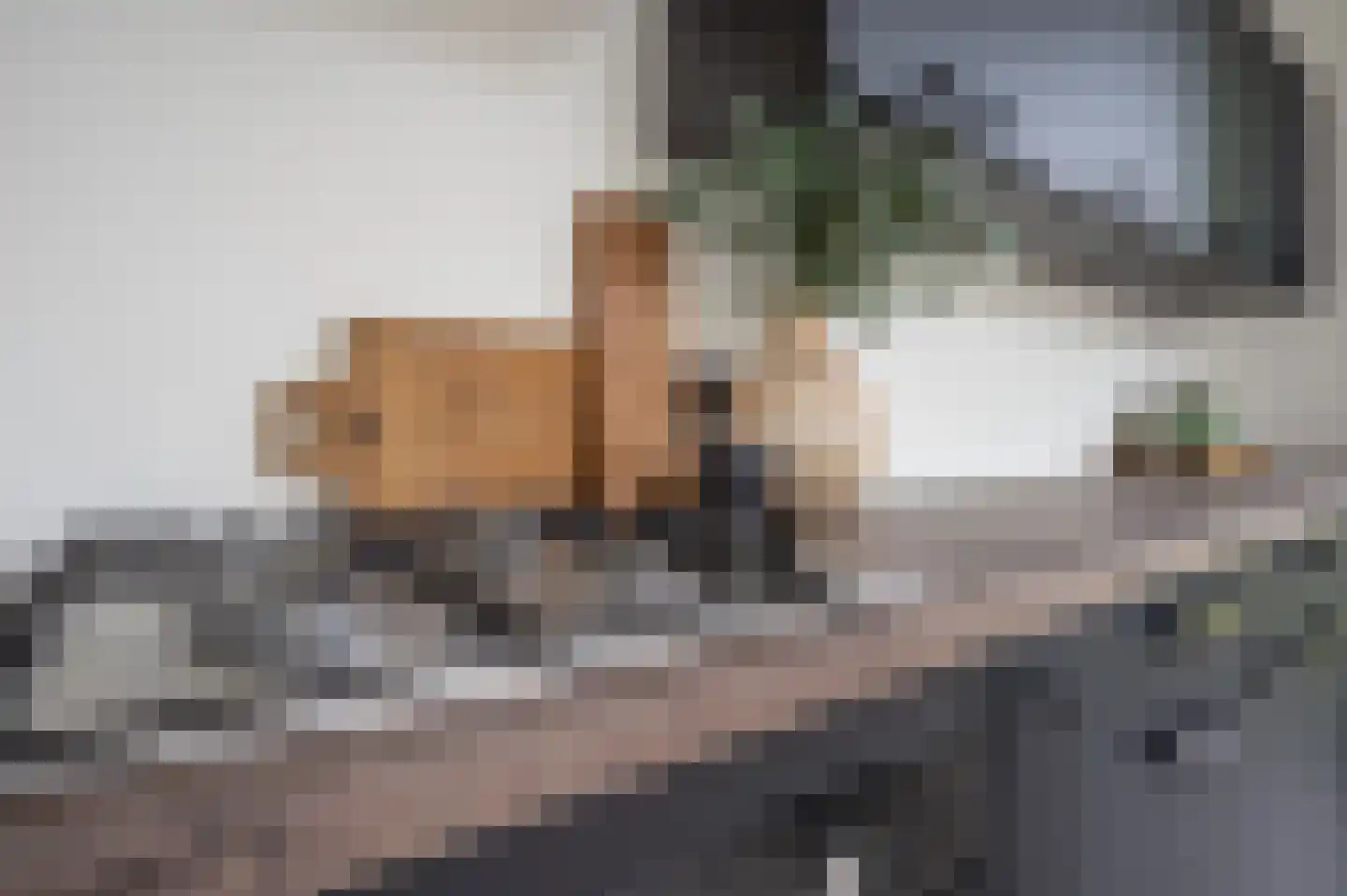 Flamingolaan 10 Assen thumbnail 19
