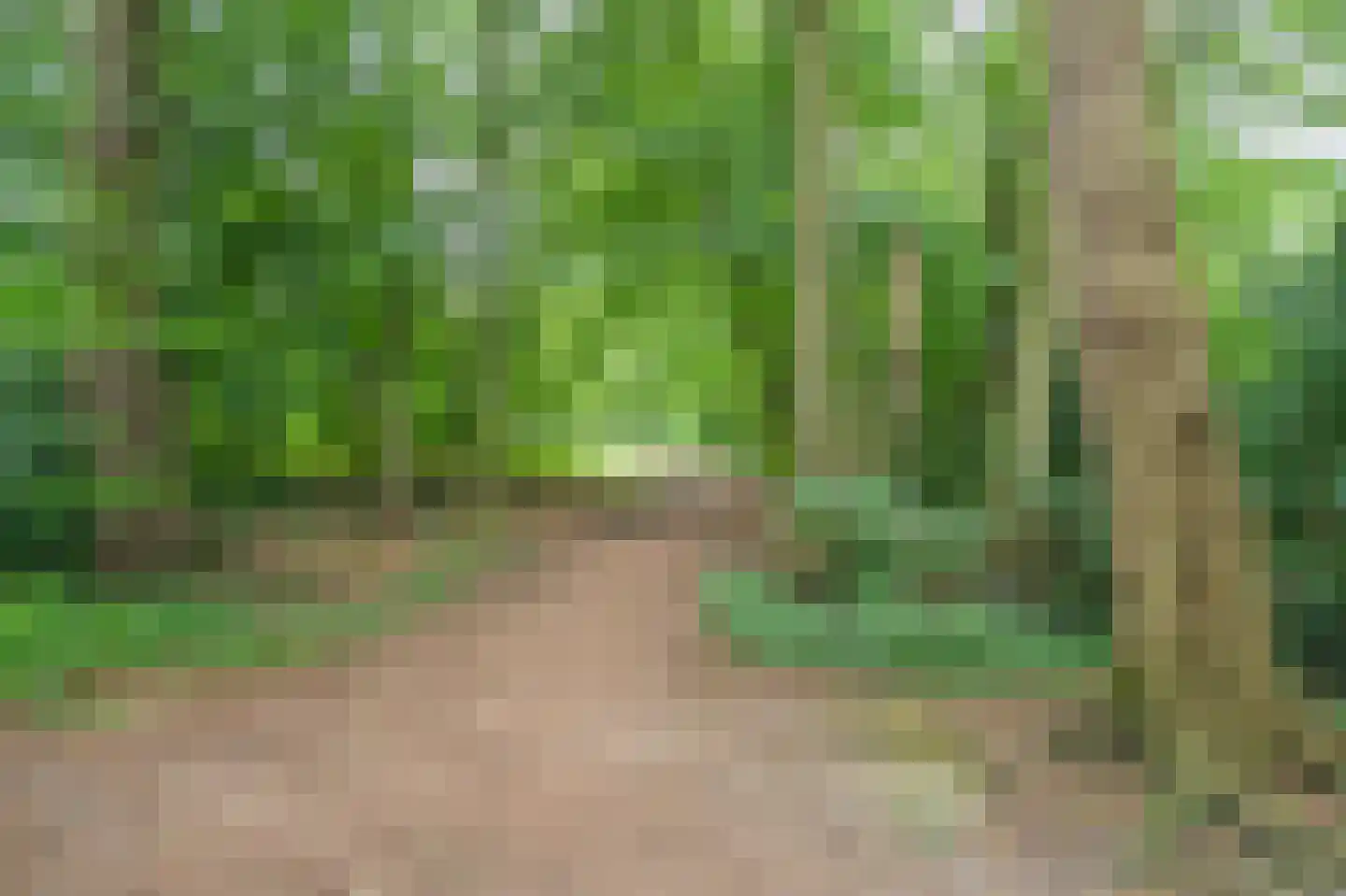Flamingolaan 10 Assen thumbnail 43