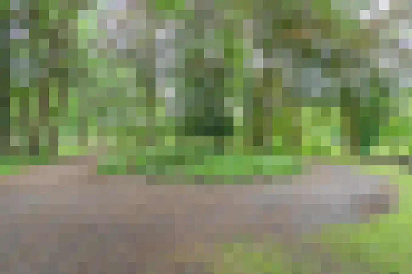 Flamingolaan 10 Assen thumbnail 47