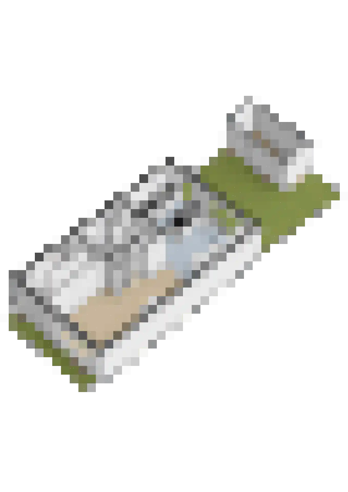 Flamingolaan 10 Assen thumbnail 62