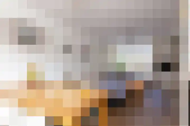 Flamingolaan 13 Andijk thumbnail 13
