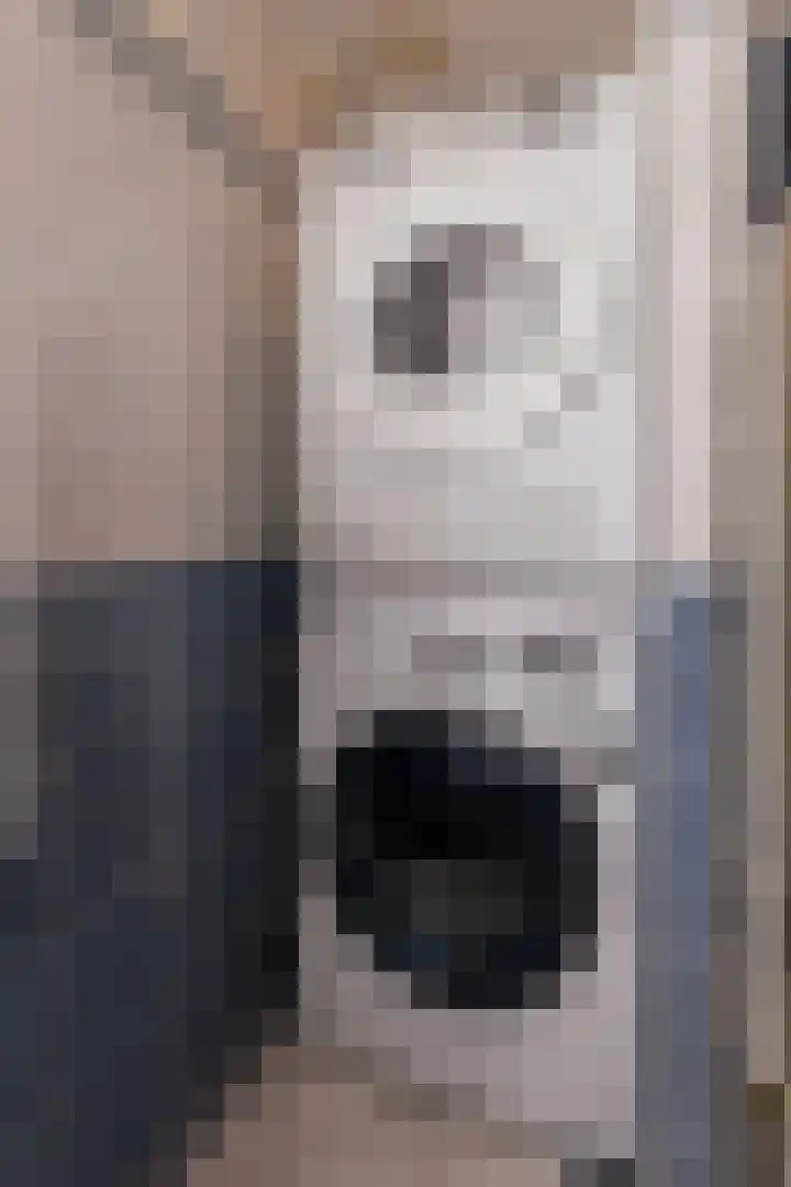 Flamingolaan 13 Andijk thumbnail 31