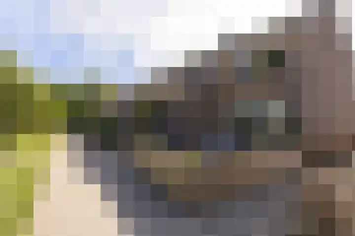 Flamingolaan 13 Andijk thumbnail 36