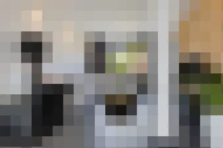 Flamingolaan 15 Assen thumbnail 13