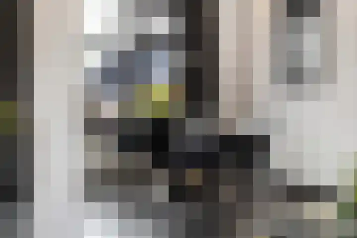 Flamingolaan 15 Assen thumbnail 15