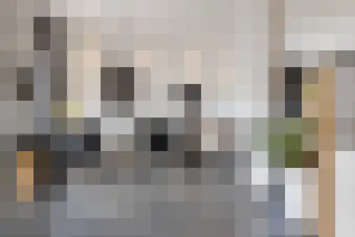 Flamingolaan 15 Assen thumbnail 16