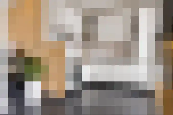 Flamingolaan 15 Assen thumbnail 17