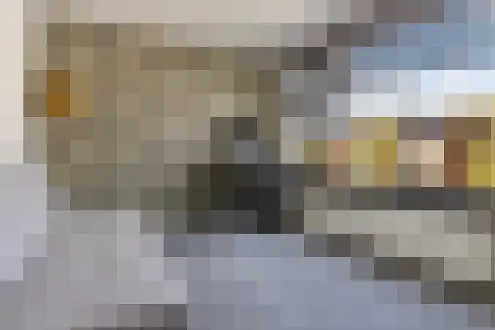 Flamingolaan 15 Assen thumbnail 25