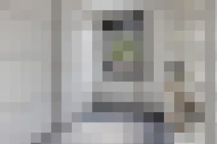 Flamingolaan 15 Assen thumbnail 27
