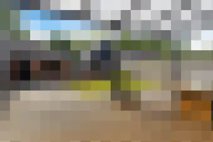 Flamingolaan 15 Assen thumbnail 31