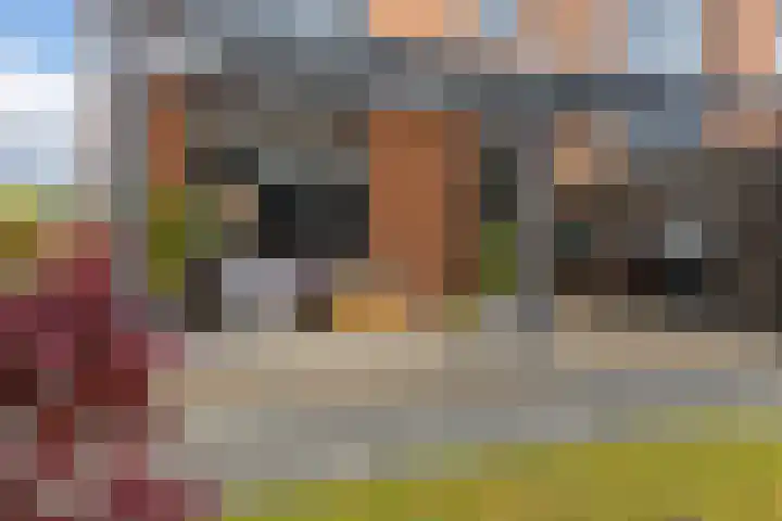 Flamingolaan 15 Assen thumbnail 32