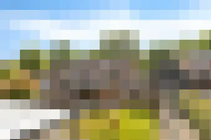 Flamingolaan 15 Assen thumbnail 35