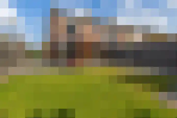 Flamingolaan 15 Assen thumbnail 4