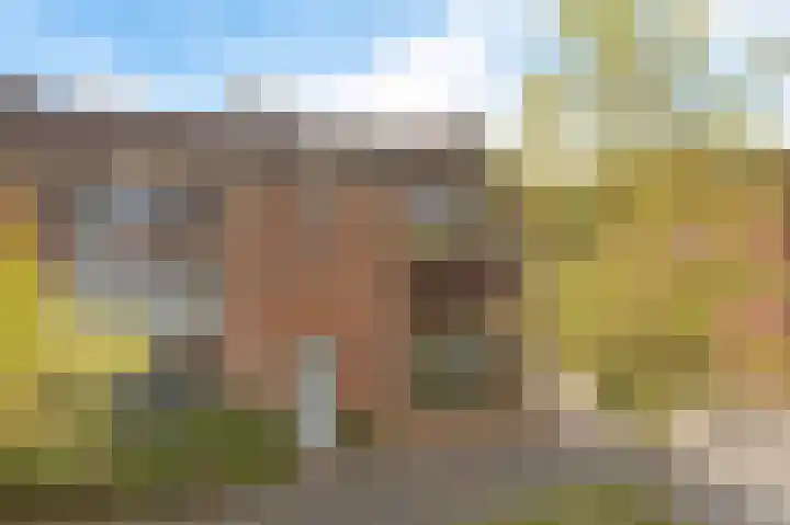 Flamingolaan 15 Assen thumbnail 6