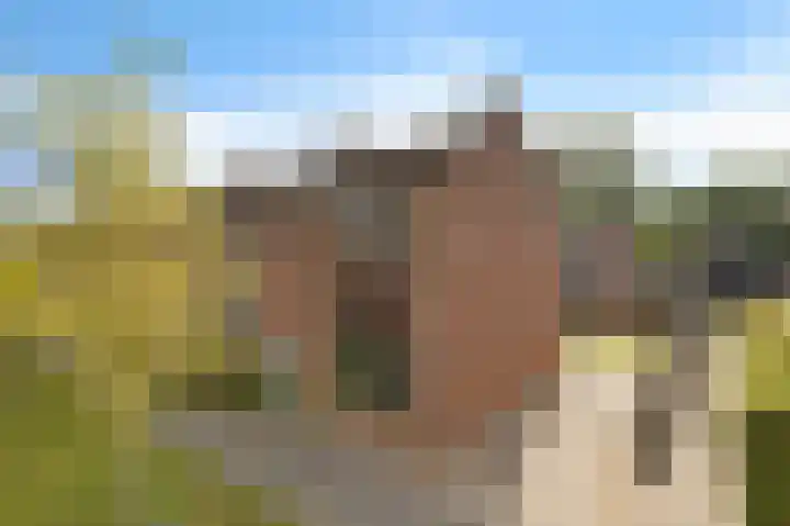 Flamingolaan 15 Assen thumbnail 9