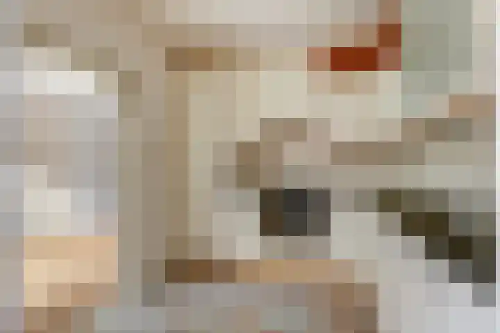 Flamingolaan 5 Andijk thumbnail 17
