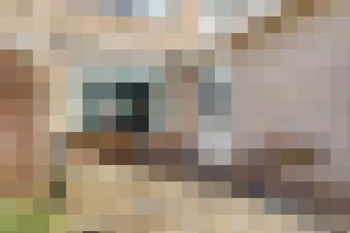 Flamingolaan 5 Andijk thumbnail 21