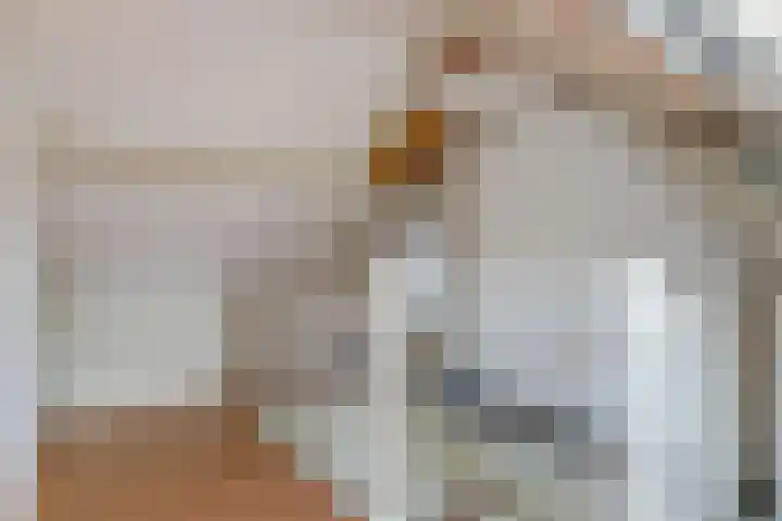 Flamingolaan 5 Andijk thumbnail 37