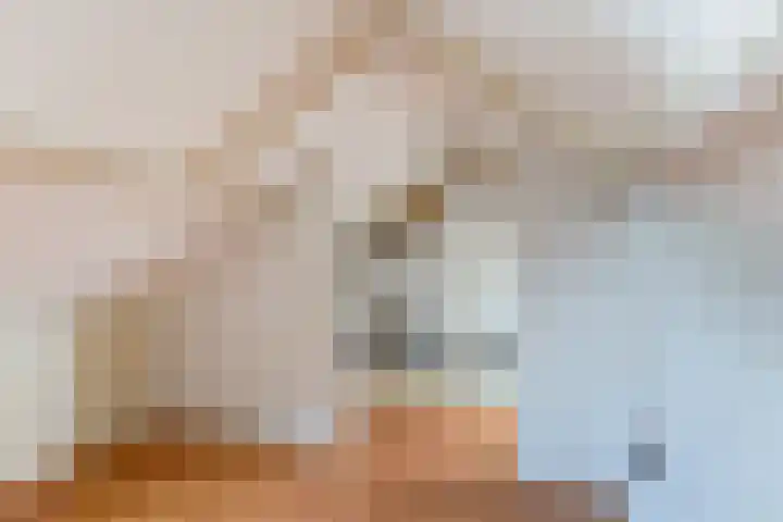 Flamingolaan 5 Andijk thumbnail 39