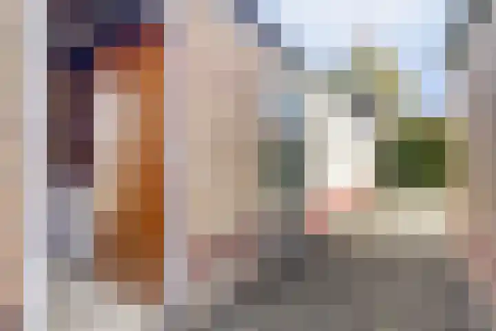 Flamingolaan 5 Andijk thumbnail 42