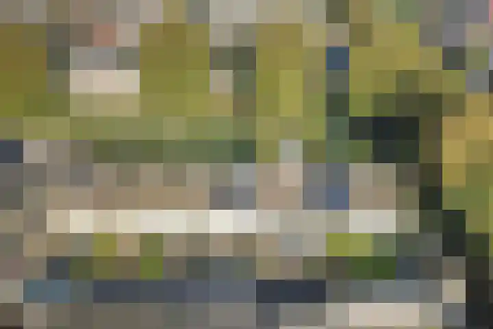 Flamingolaan 5 Andijk thumbnail 43
