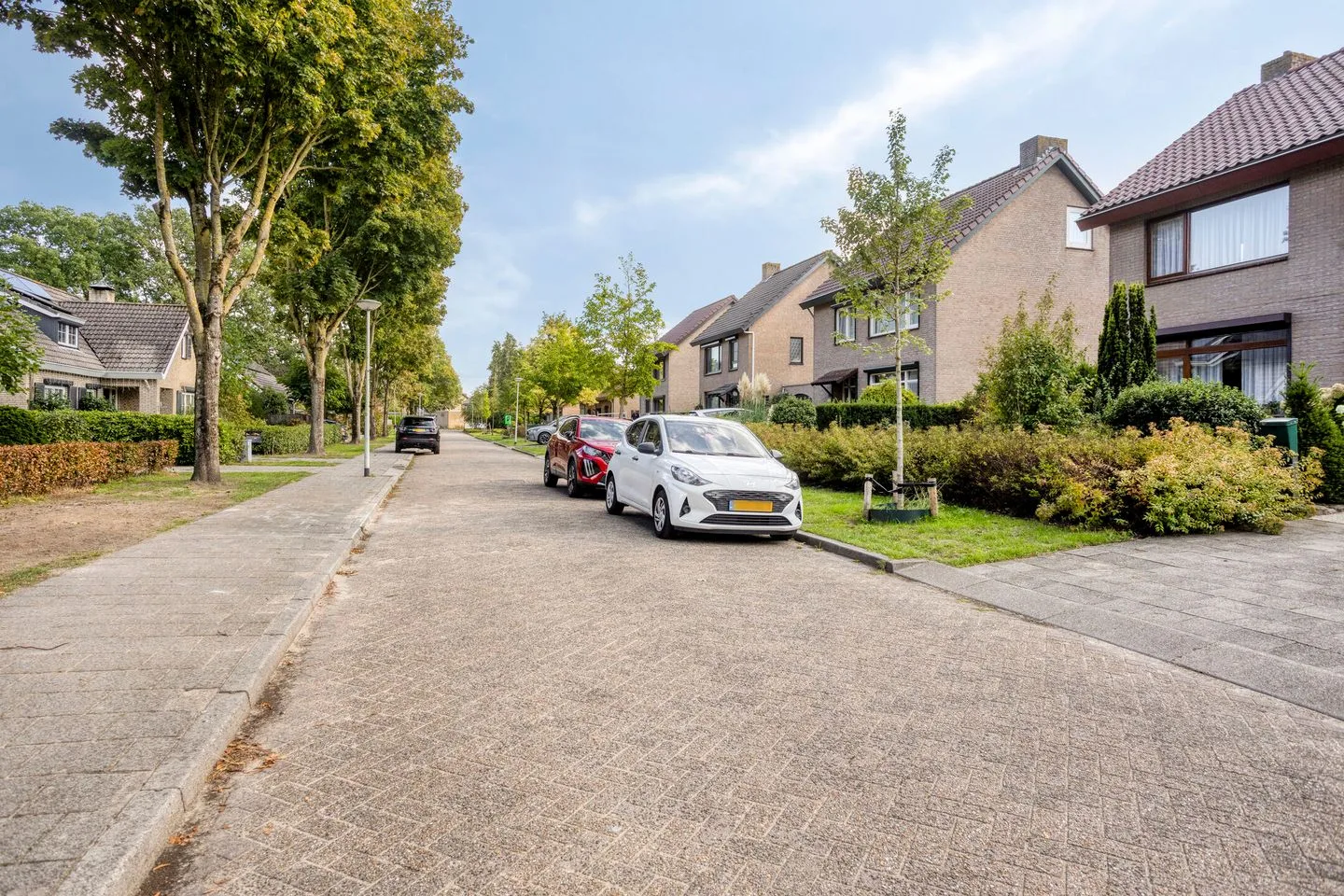 Flamingostraat 15 Nispen thumbnail 40
