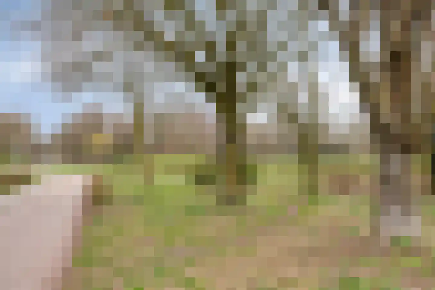 Flamingostraat 18 Wijchen thumbnail 32