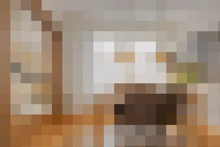Flamingostraat 22 Wijchen thumbnail 7