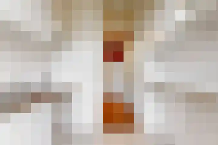 Flamingostraat 24 BS Utrecht thumbnail 7