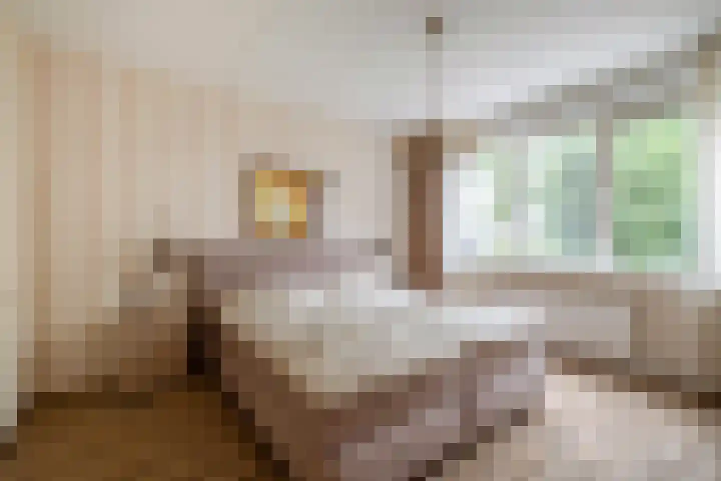 Flamingostraat 3 Losser thumbnail 14