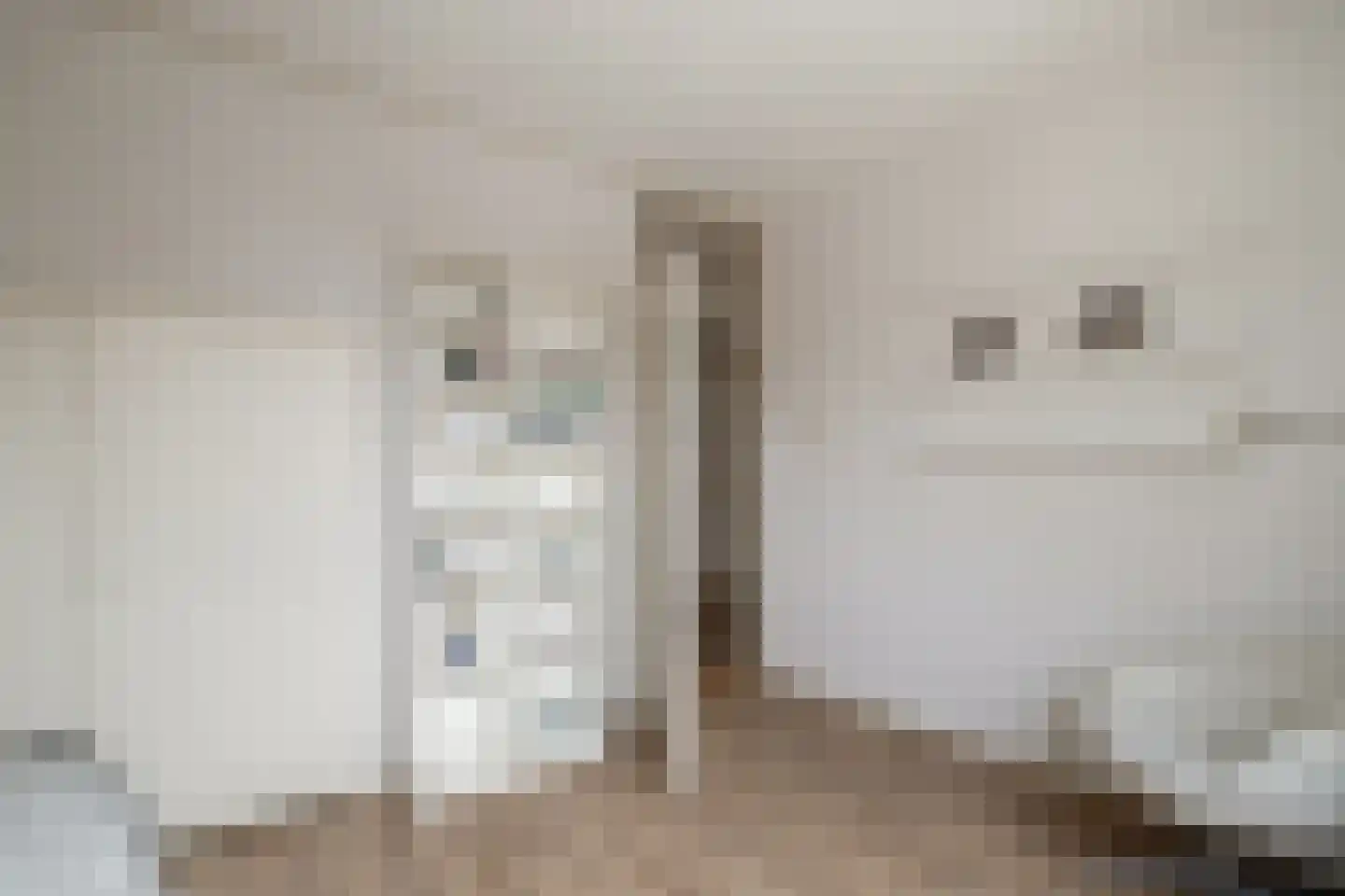 Flamingostraat 3 Losser thumbnail 16