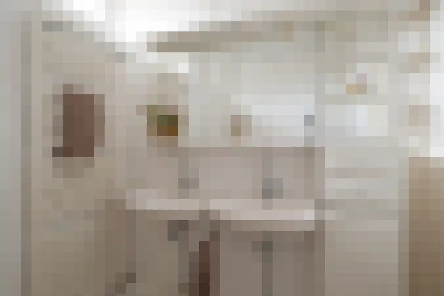 Flamingostraat 3 Losser thumbnail 21
