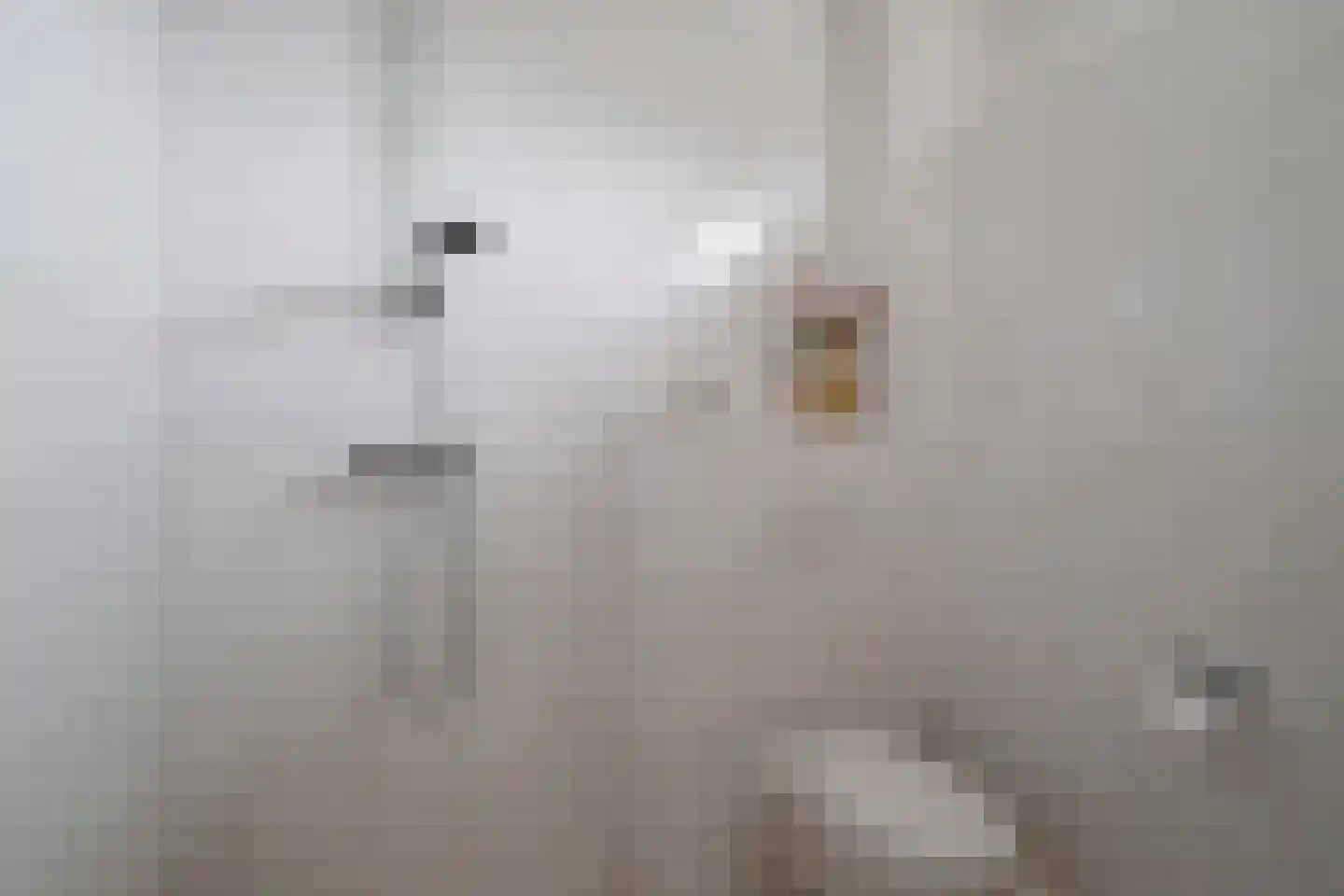 Flamingostraat 3 Losser thumbnail 22