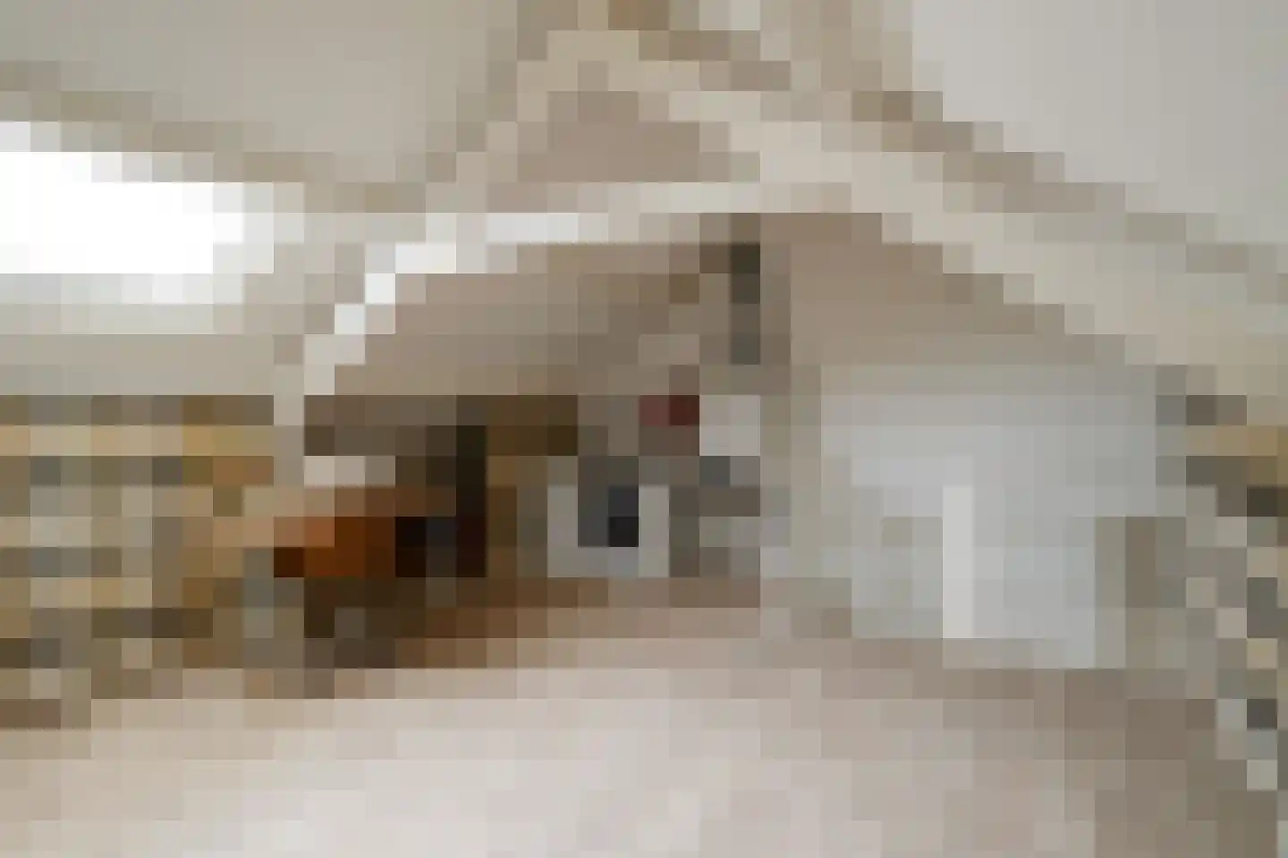 Flamingostraat 3 Losser thumbnail 24