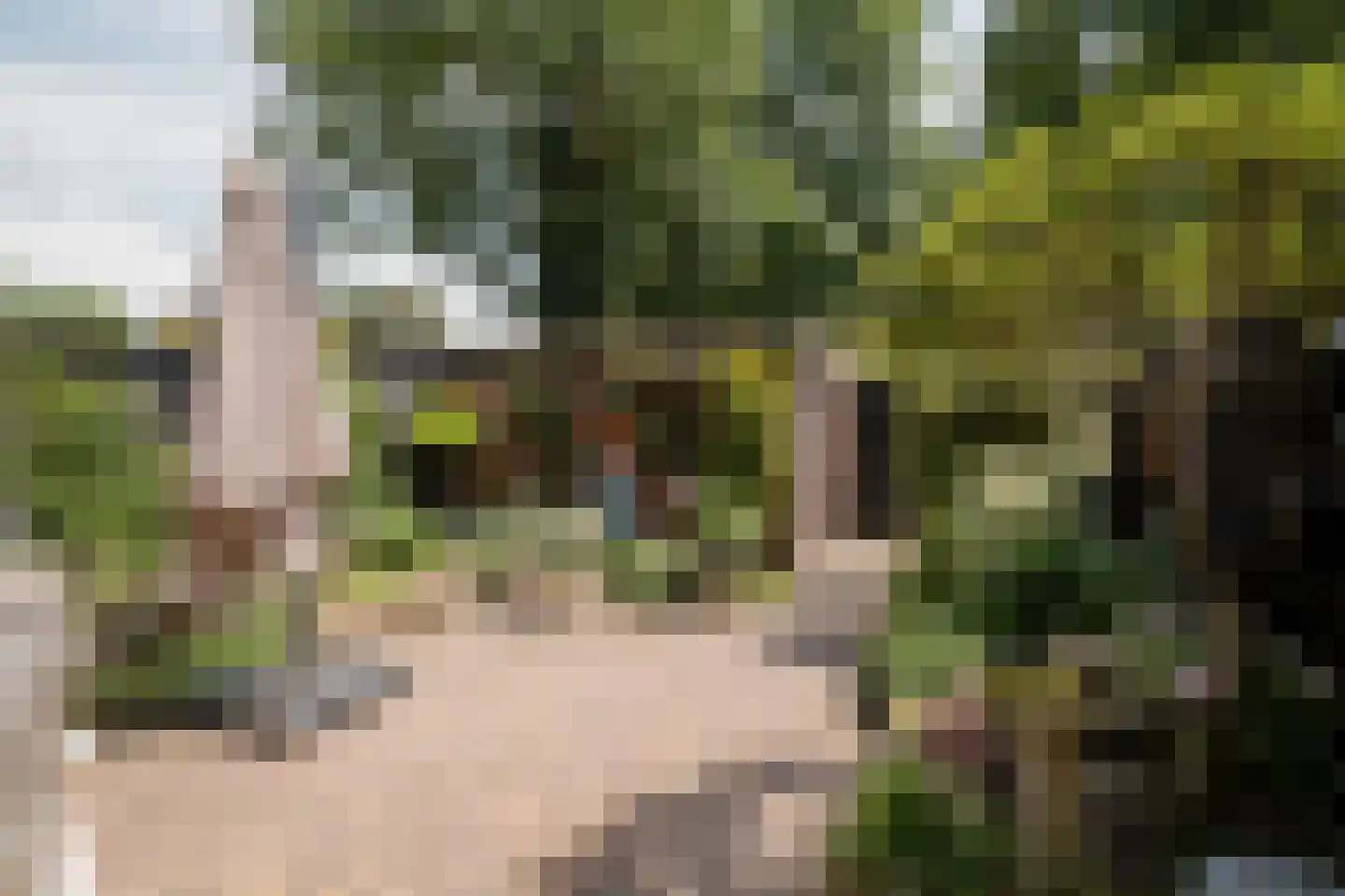 Flamingostraat 3 Losser thumbnail 25