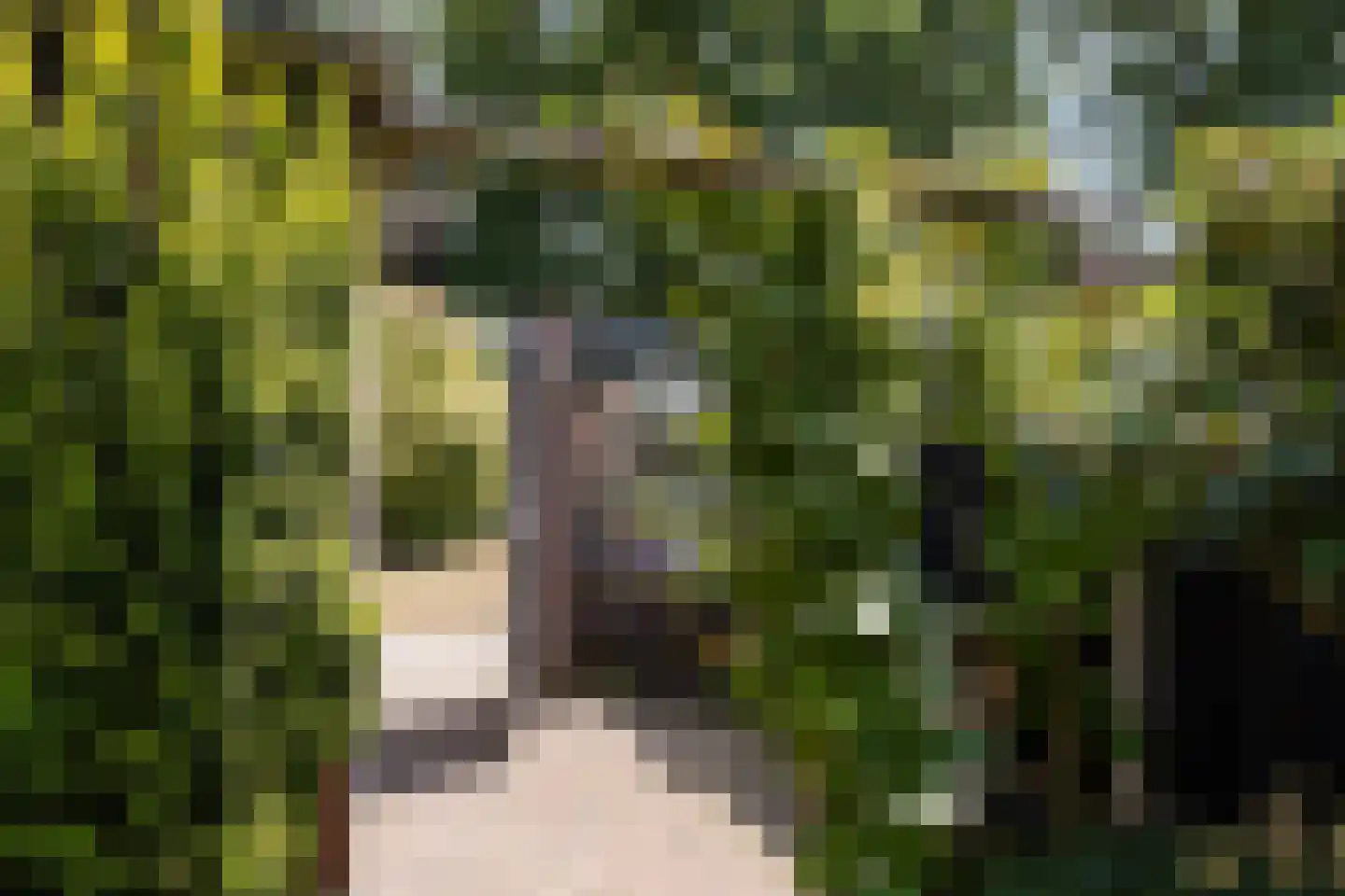 Flamingostraat 3 Losser thumbnail 26