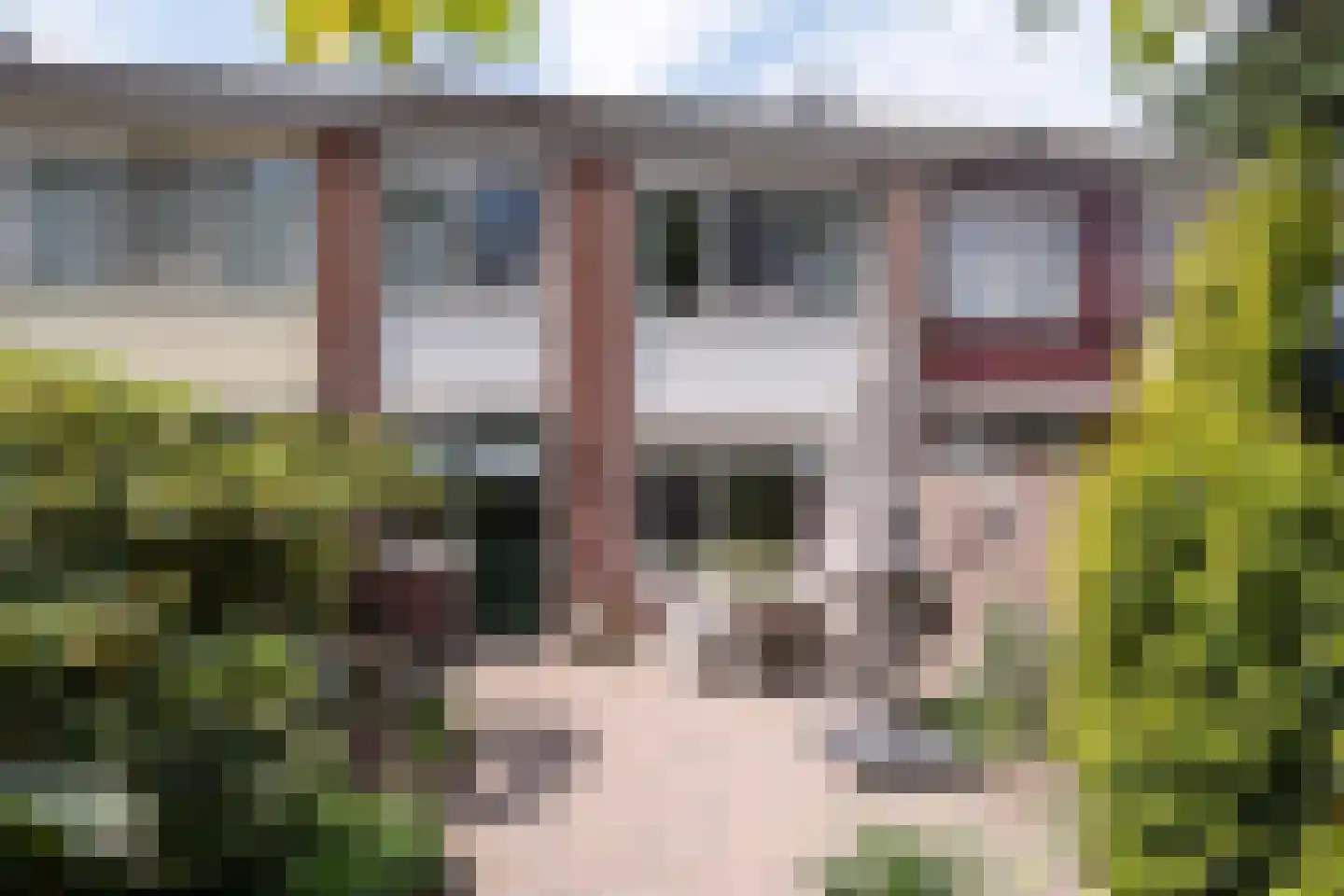 Flamingostraat 3 Losser thumbnail 28