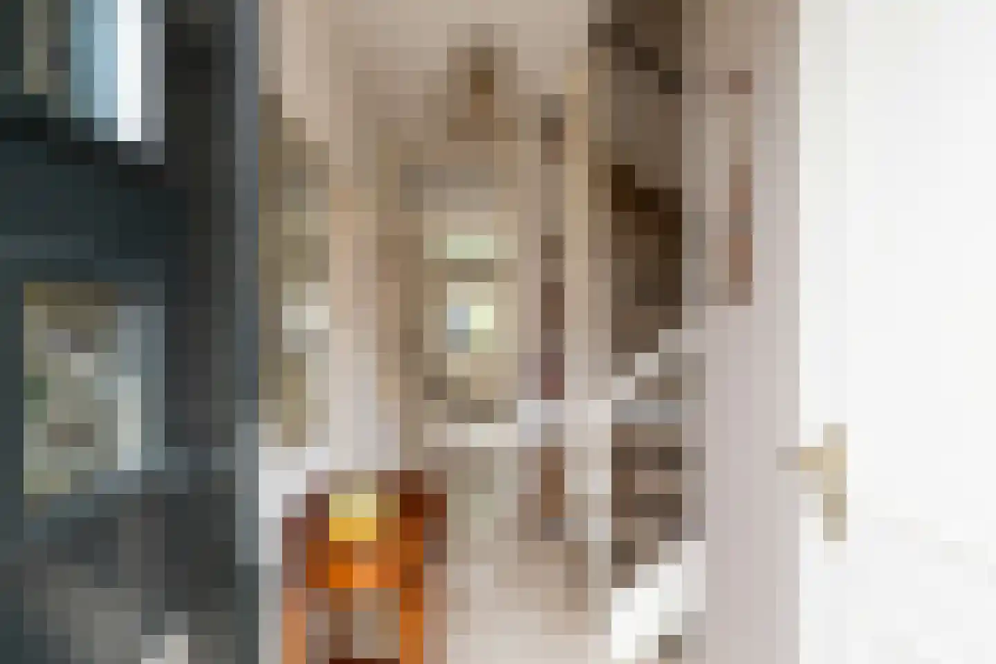Flamingostraat 3 Losser thumbnail 5