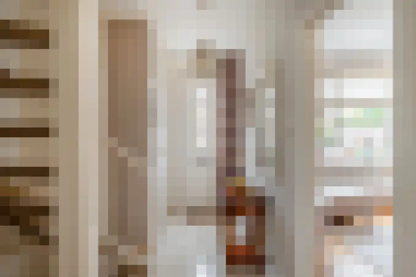 Flamingostraat 3 Losser thumbnail 6