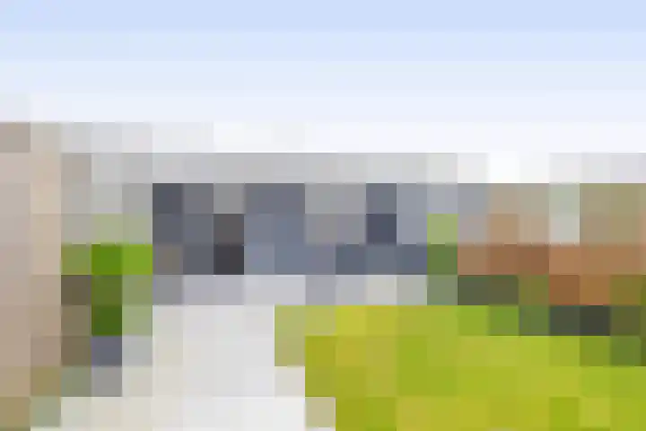 Flamingostraat 30 Venlo thumbnail 17