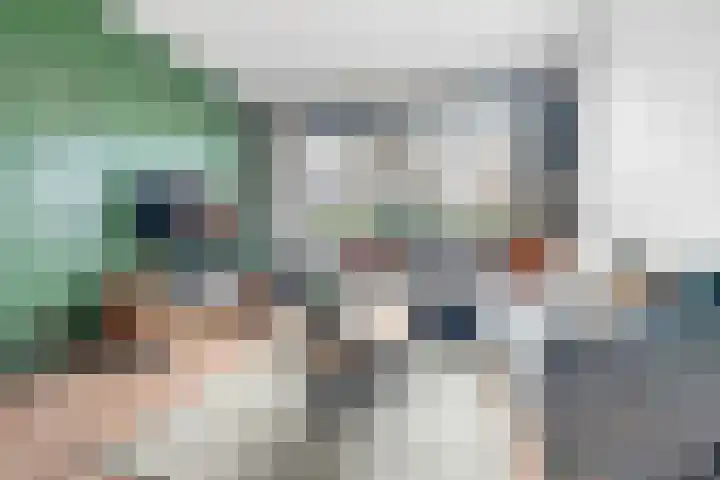 Flamingostraat 31 Losser thumbnail 10