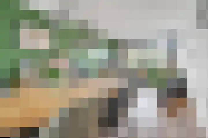 Flamingostraat 31 Losser thumbnail 12
