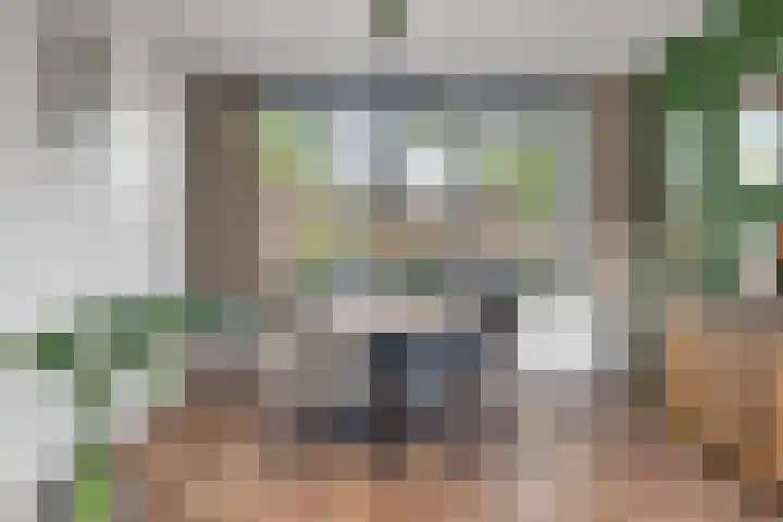 Flamingostraat 31 Losser thumbnail 16