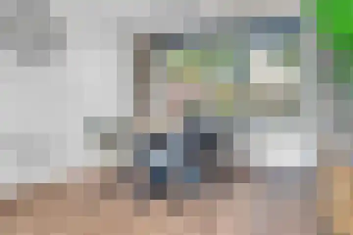 Flamingostraat 31 Losser thumbnail 18